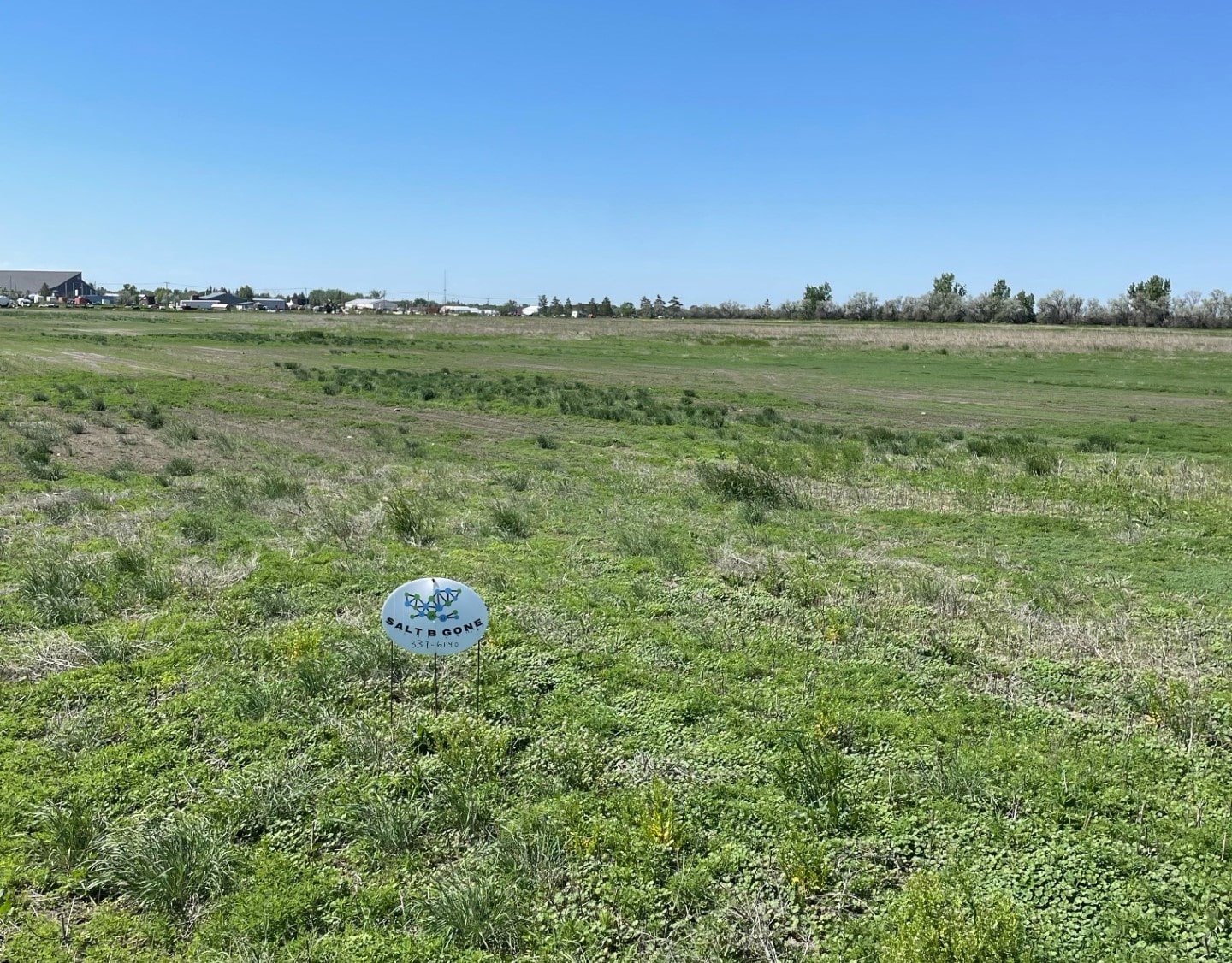 bottineau field after =