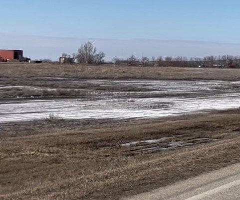 bottineau field before